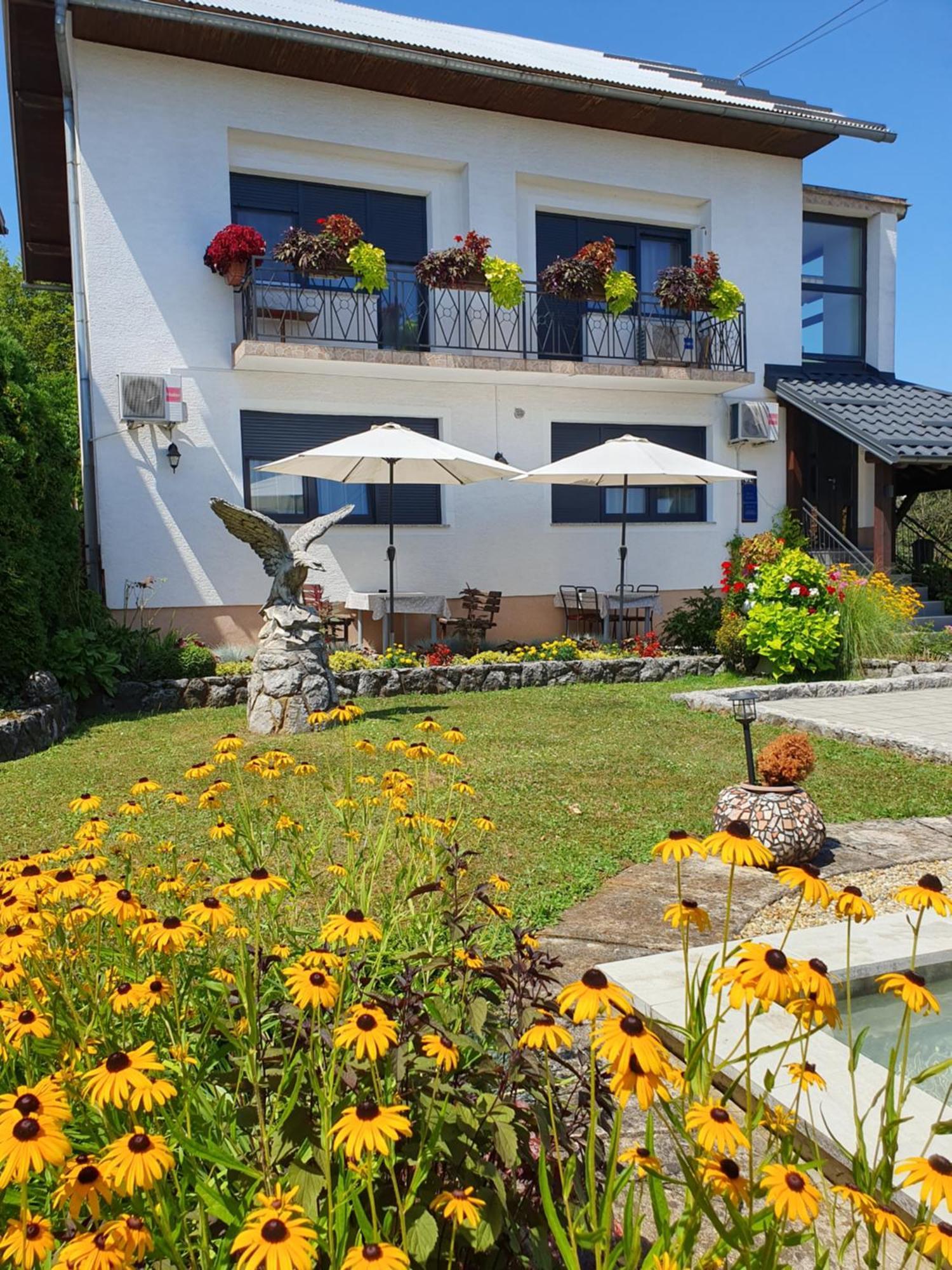 Guesthouse Vila 斯诺基 外观 照片