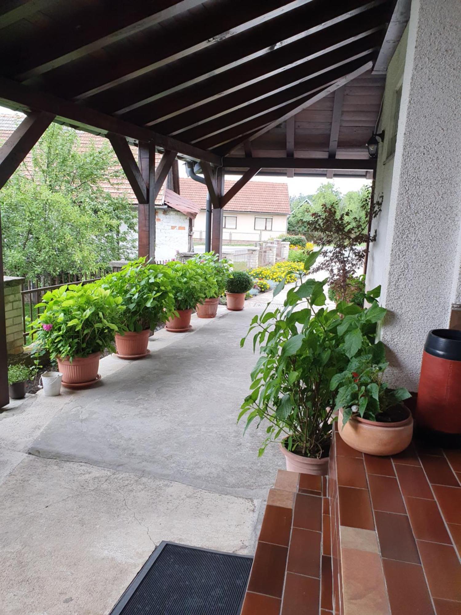 Guesthouse Vila 斯诺基 外观 照片